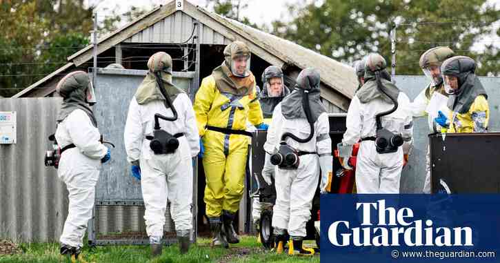 Denmark announces cull of 15 million mink over Covid mutation fears