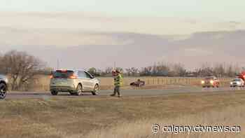 Driver killed after colliding with deer on Hwy. 3 south of Medicine Hat