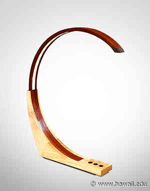 Architecture students craft award-winning pieces using local wood - UH System Current News