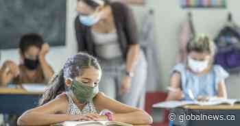 COVID-19: Triple-layer masks now recommended, what does that mean for Albertans?