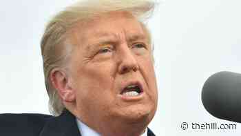 American Medical Association rips Trump's claim that doctors inflating COVID-19 numbers | TheHill - The Hill