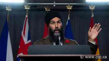 NDP proposes taxes on wealthy Canadians, excess profits in House of Commons motion