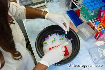 Five reasons we must increase diversity in medical research - The River Reporter