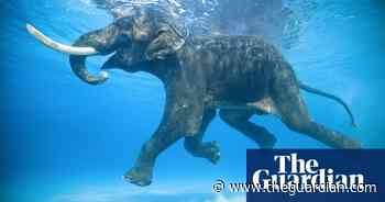 Prints for Nature: buy a photo to help protect people and wildlife