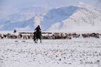 Bronze Age travel routes revealed using pioneering research method