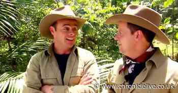 Ant and Dec face first Bushtucker trial to celebrate 20th I'm A Celebrity series
