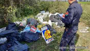 Discarica di rifiuti nell'oasi di Torrile: la Forestale sanziona il responsabile - La Repubblica