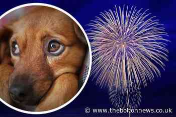 Bonfire Night: Why pet owners should play classical music to their cats and dogs
