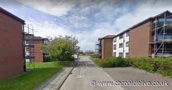 Woman found unresponsive in street believed to be victim of a sexual assault