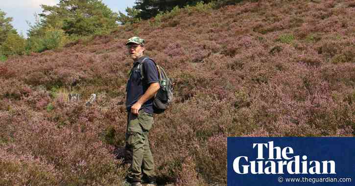 Huge spider thought extinct in Britain discovered on MoD training site