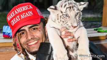 Lil Pump Visits Doc Antle's Zoo, Hangs with Tigers After Stumping for Trump