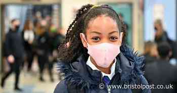 Lockdown childcare bubbles and linked households explained