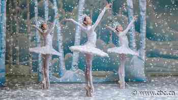 National Ballet of Canada cancels rest of 2020-21 season, including Swan Lake