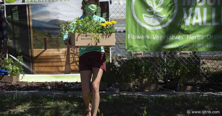 Ashley Patterson: Depot District needs to preserve open space