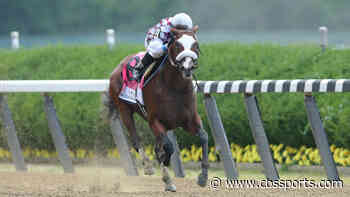 Horse racing may impose new rules to make sport safer