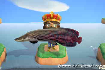 Animal Crossing: New Horizons fish guide for November 2020