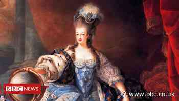 Marie Antoinette's mirror 'hung in loo since 1975'