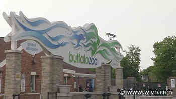 Winter visiting hours at the Buffalo Zoo start Nov. 16
