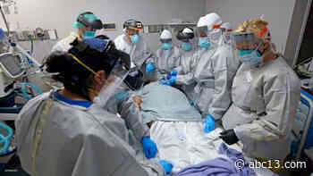 Report: 1 in 4 jobs added by 2036 in Greater Houston will be in the health care sector - KTRK-TV