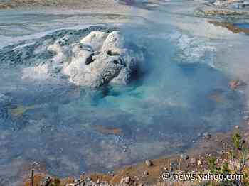 A man was banned from Yellowstone after trying to fry chicken in a hot spring