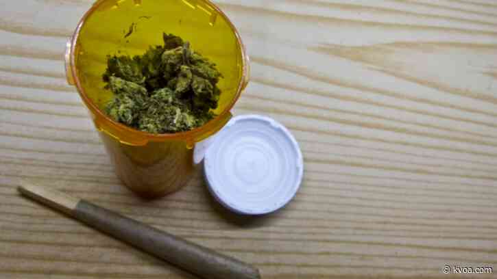 Marijuana legalization rolls out next year
