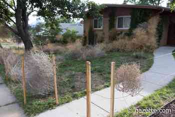 Colorado Springs couple turns front yard into public art space - Colorado Springs Gazette