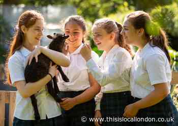 Ealing school's urban farm highlighted in awards