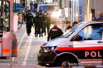 Vienna attacks that killed 3 involved at least one 'Islamist terrorist'