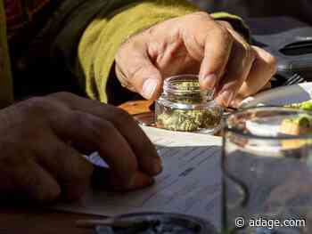 Cannabis is the big election winner, and the pandemic axes Black Friday: Friday Wake-Up Call