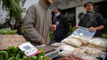 Market debut of Chinese e-finance giant Ant postponed