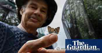 How maverick rewilders are trying to turn back the tide of extinction – podcast