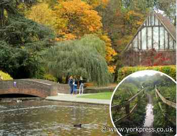 £17k boost for plan to create diverse wildlife area at Rowntree Park