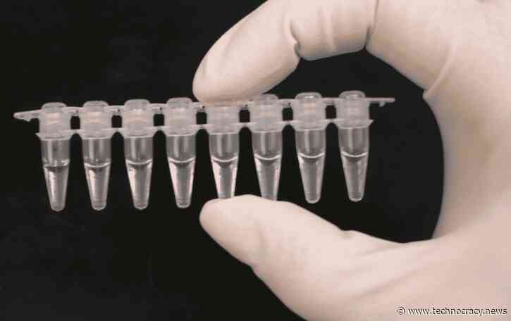 The Ignorance And Deception Surrounding PCR Tests For COVID-19