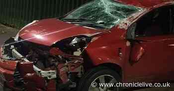 Woman charged with drink driving after one-vehicle collision in Newcastle