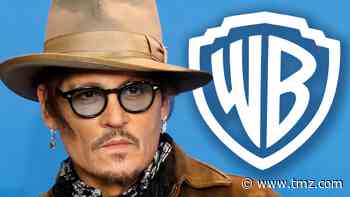Johnny Depp Out of 'Fantastic Beasts' After Losing Wife-Beating Case