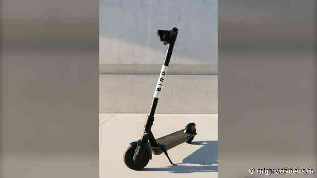 E-scooters have promising future in Calgary, Bird Canada believes