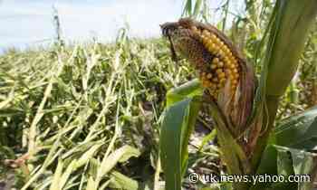 US midwest storms in August were costliest in country’s history