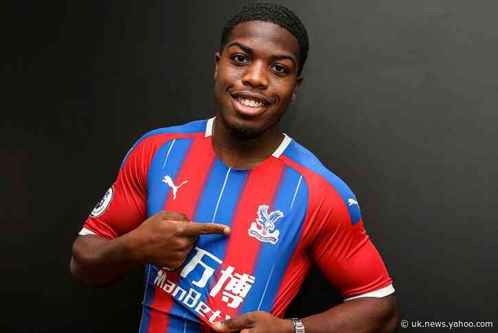 Crystal Palace signing Nathan Ferguson to step up recovery during break, says Roy Hodgson