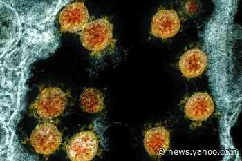 Kindergartner reportedly dies of Covid-19 in Texas