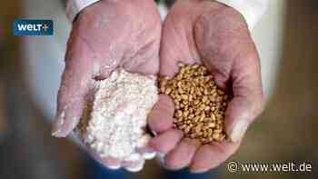 Nie arbeitslos, weltweite begehrte Fachkraft und über 100.000 Euro Gehalt