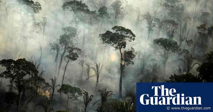 Green groups denounce Brazil's 'sham' Amazon tour for foreign diplomats