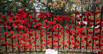 Remembrance Day events around North East - here is what's happening