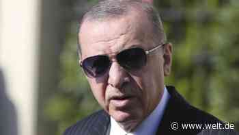Erdogan entlässt Zentralbankchef – Lira auf Rekordtief