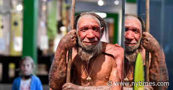 Book Review: ‘Kindred,’ by Rebecca Wragg Sykes