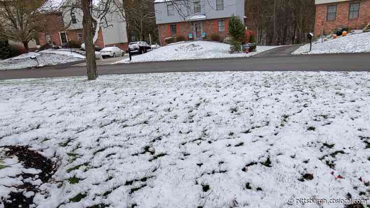 Hey Ray! Debunking Conspiracy Theories About Fake Snow