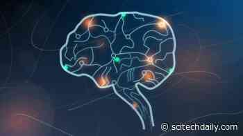 Neuroscientists Reprogram Brain’s GPS Using Laser Beams