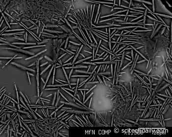 New High-Pressure Mineral Discovered in Moon Meteorite