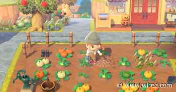 27 Animal Crossing Tips to Up Your Island Game