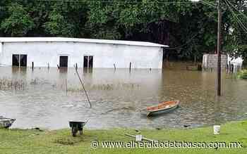 Ranchería Coronel Traconis, inundada y olvidada - El Heraldo de Tabasco