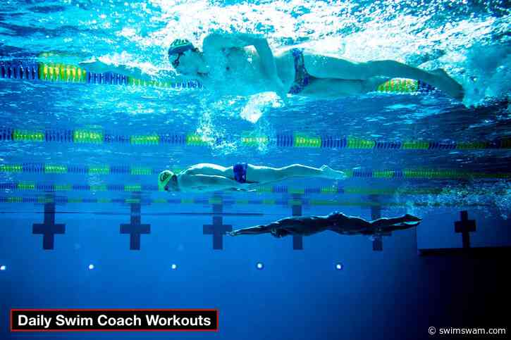Daily Swim Coach Workout #269